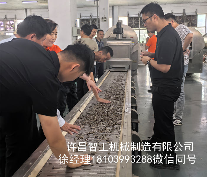 河南客戶來廠試機(jī)全自動(dòng)炒瓜子流水線